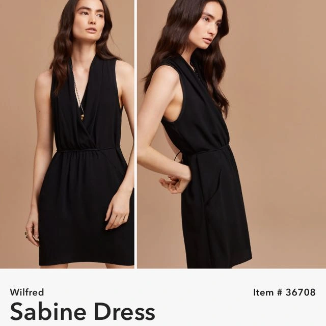 Wilfred Sabine Dress Black XS Karrot