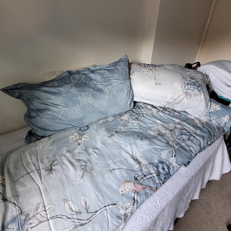 king sz duvet and cover with pillows and shams