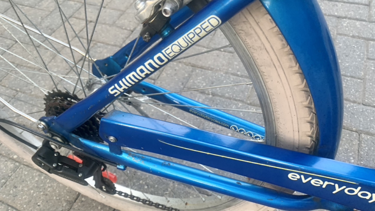 Stylish Luxury Comfort bike with basket image indicator(6)