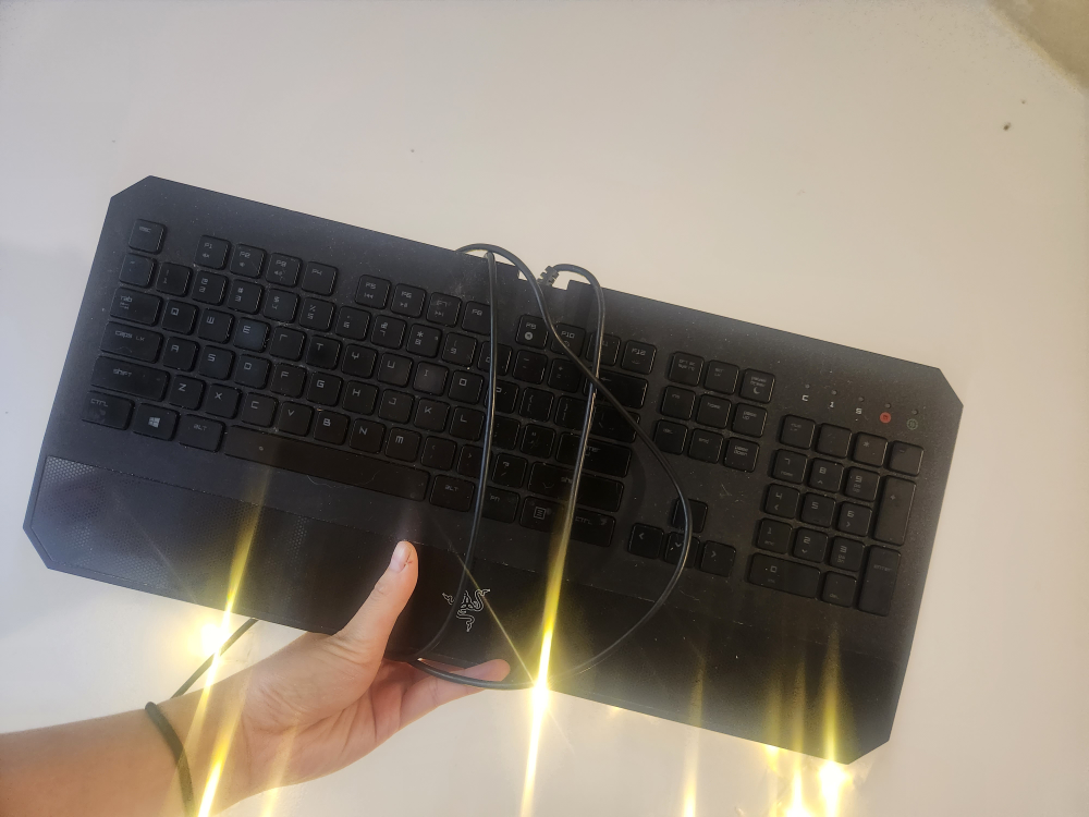Deathstalker razor gaming keyboard #freecycle - photo 3