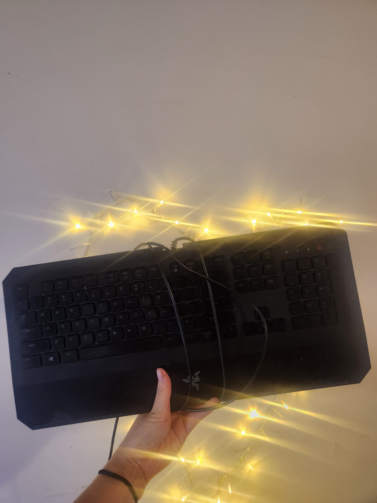 Deathstalker razor gaming keyboard #freecycle - photo 4