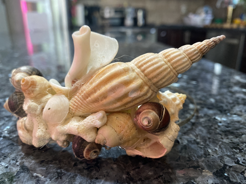 Head Band image indicator(2)