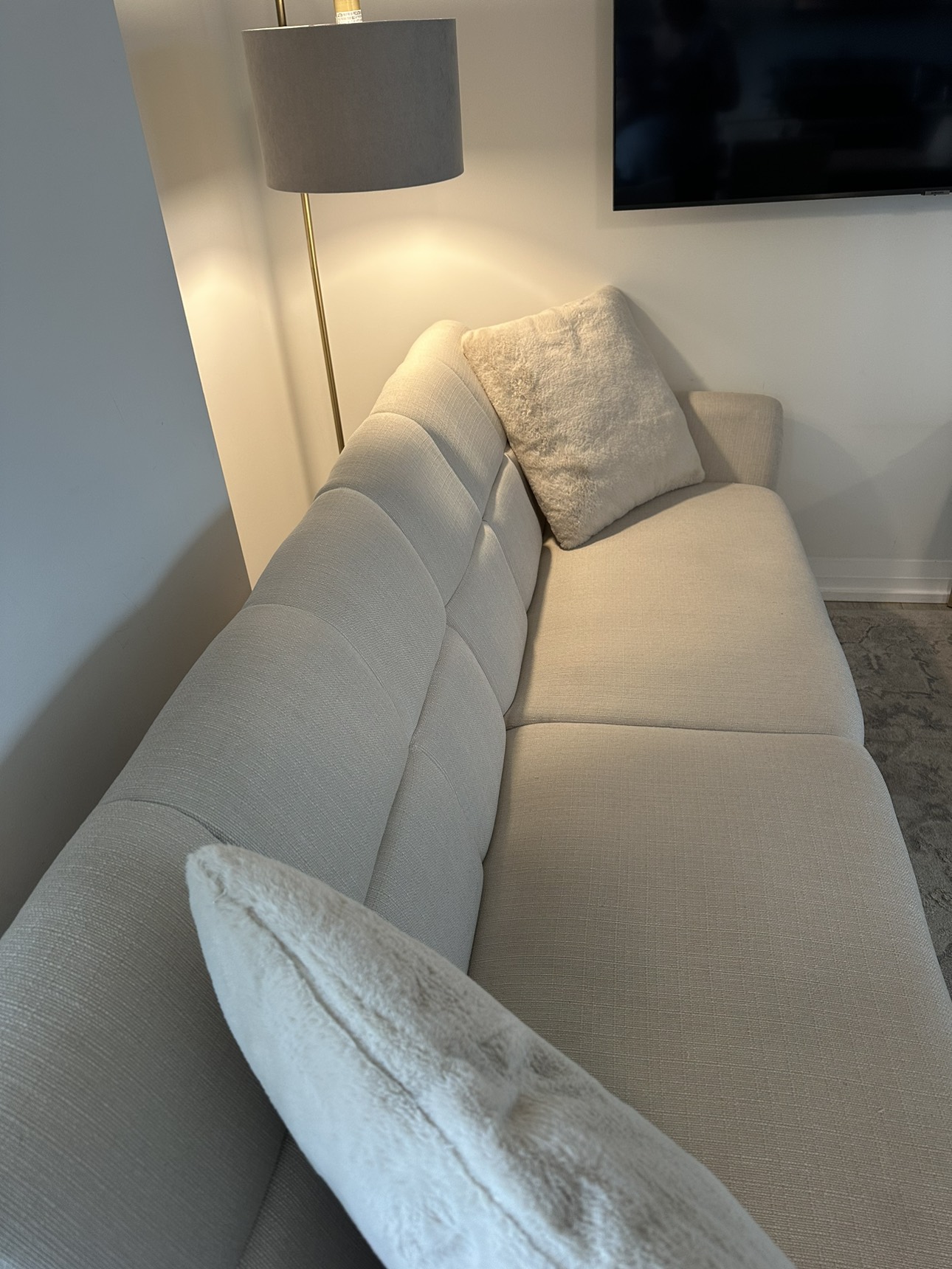 Convertible sofa + carpet