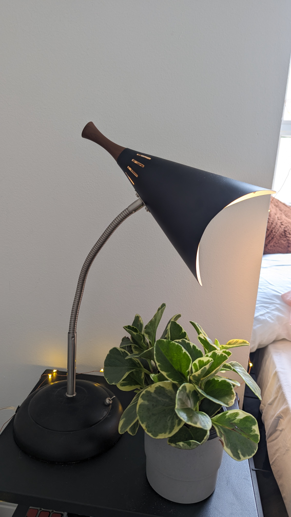 Beautiful desk lamp! - photo 2