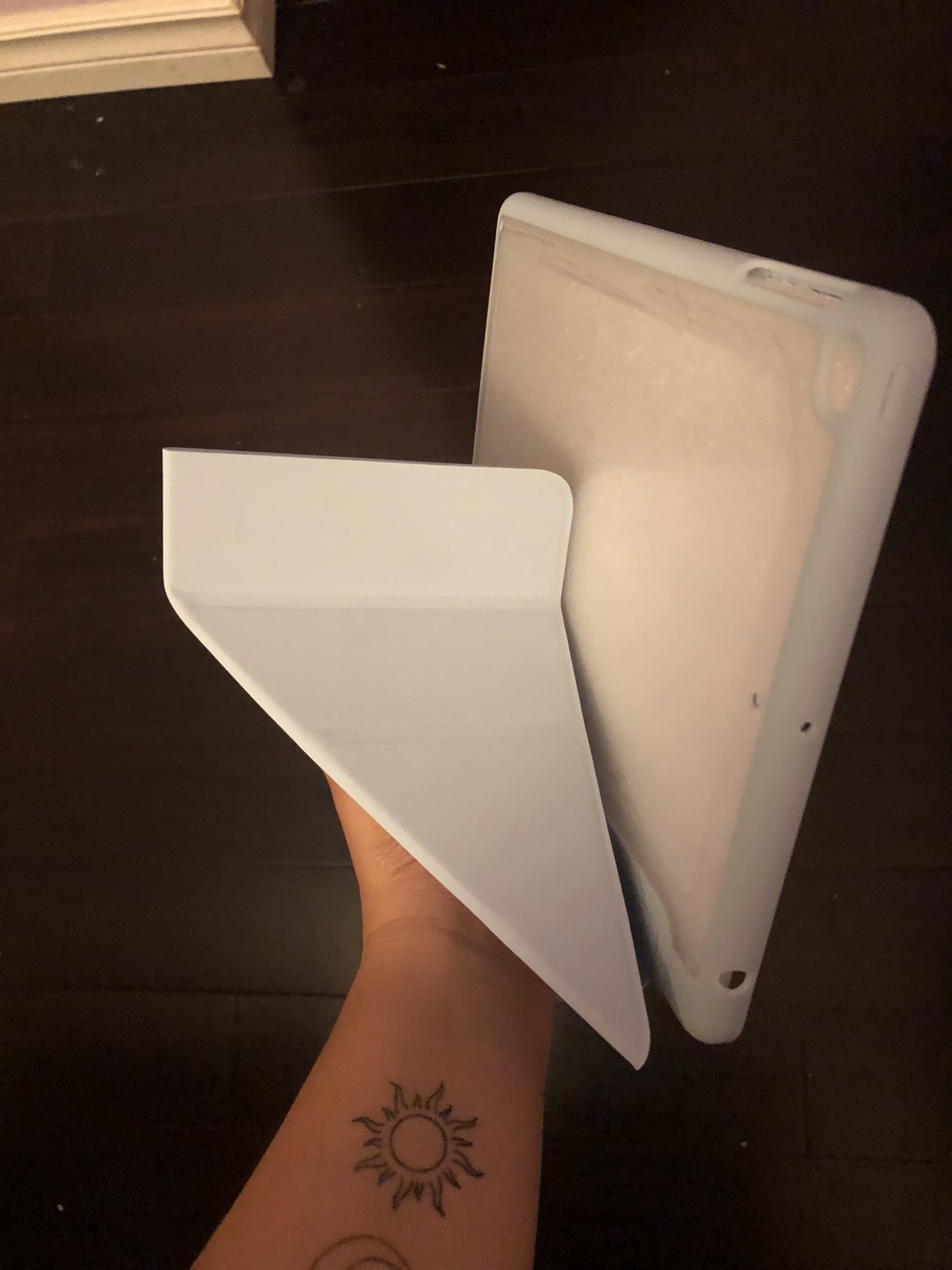 iPad Pro Case image indicator(4)