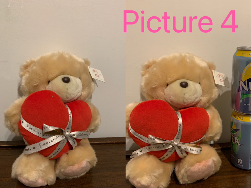 Brand New Forever Friends (Hallmark Cards)Teddy Bear/ plush image indicator(4)