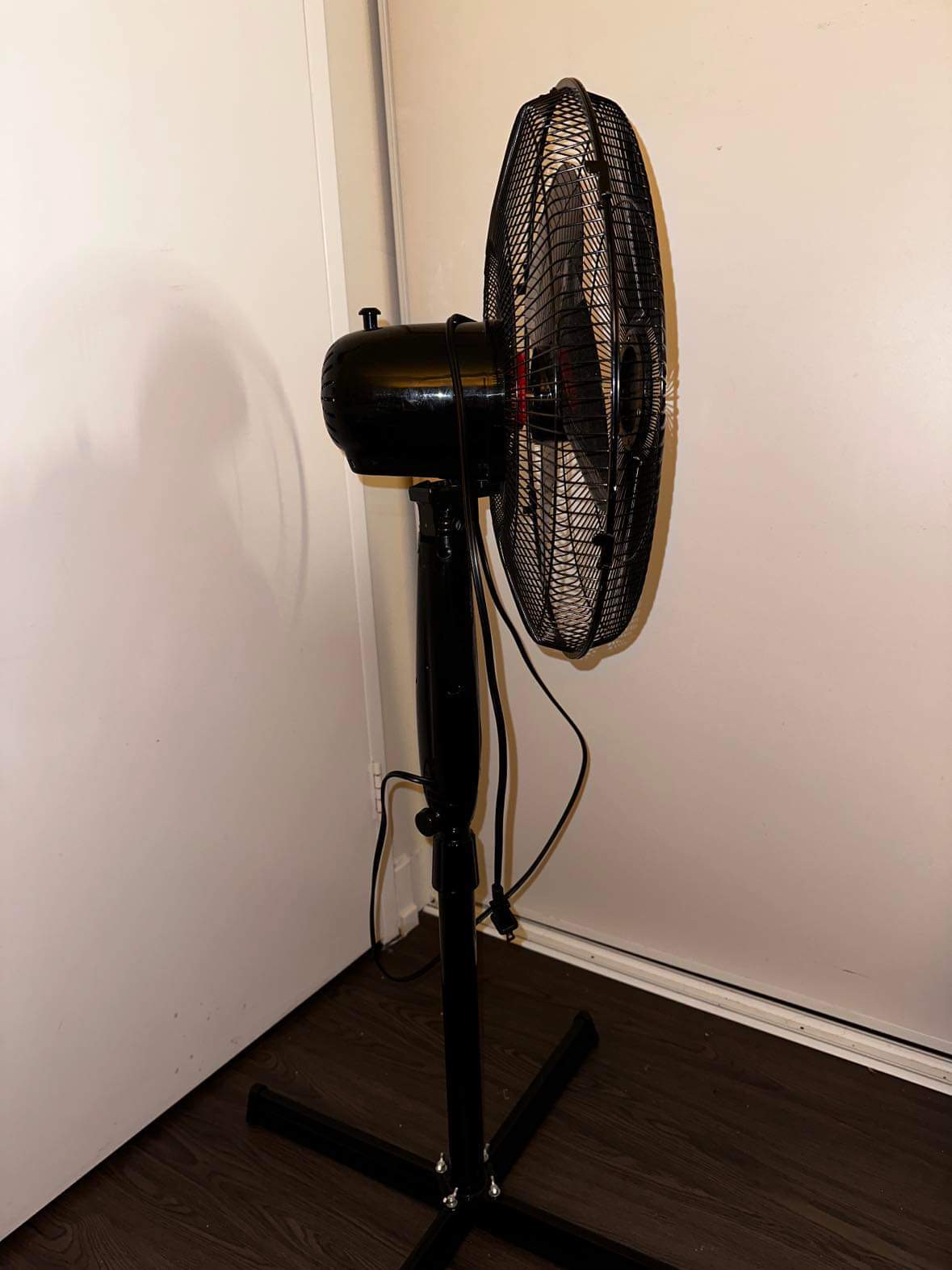 Brand New Fan - photo 2