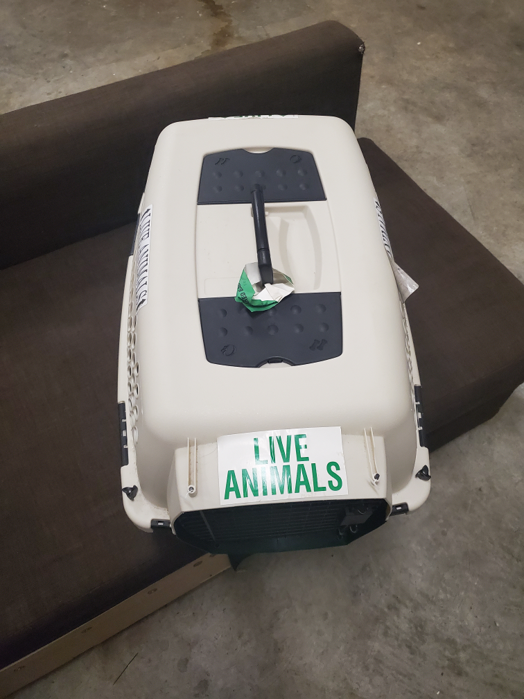 pet carrier