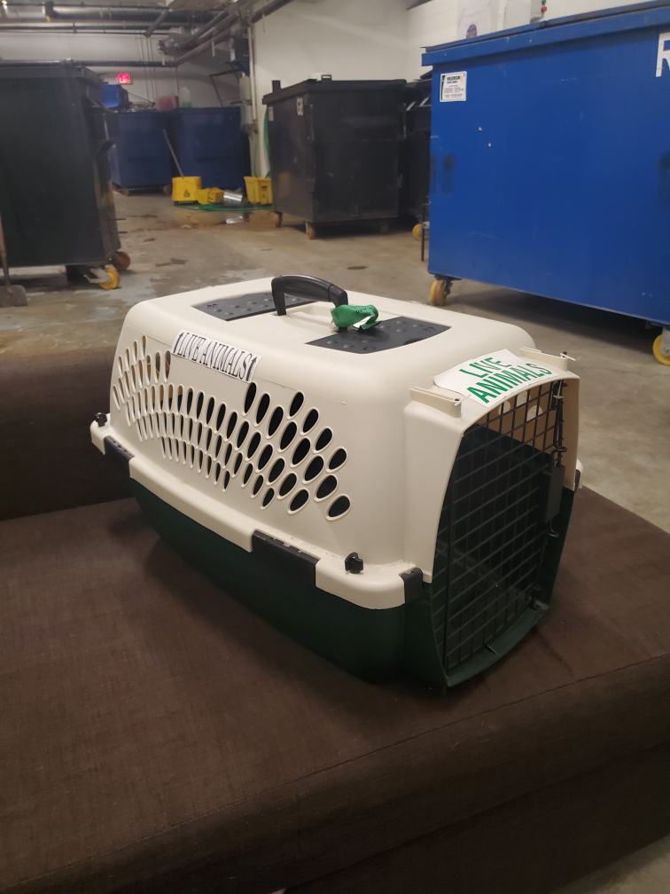 pet carrier - photo 4