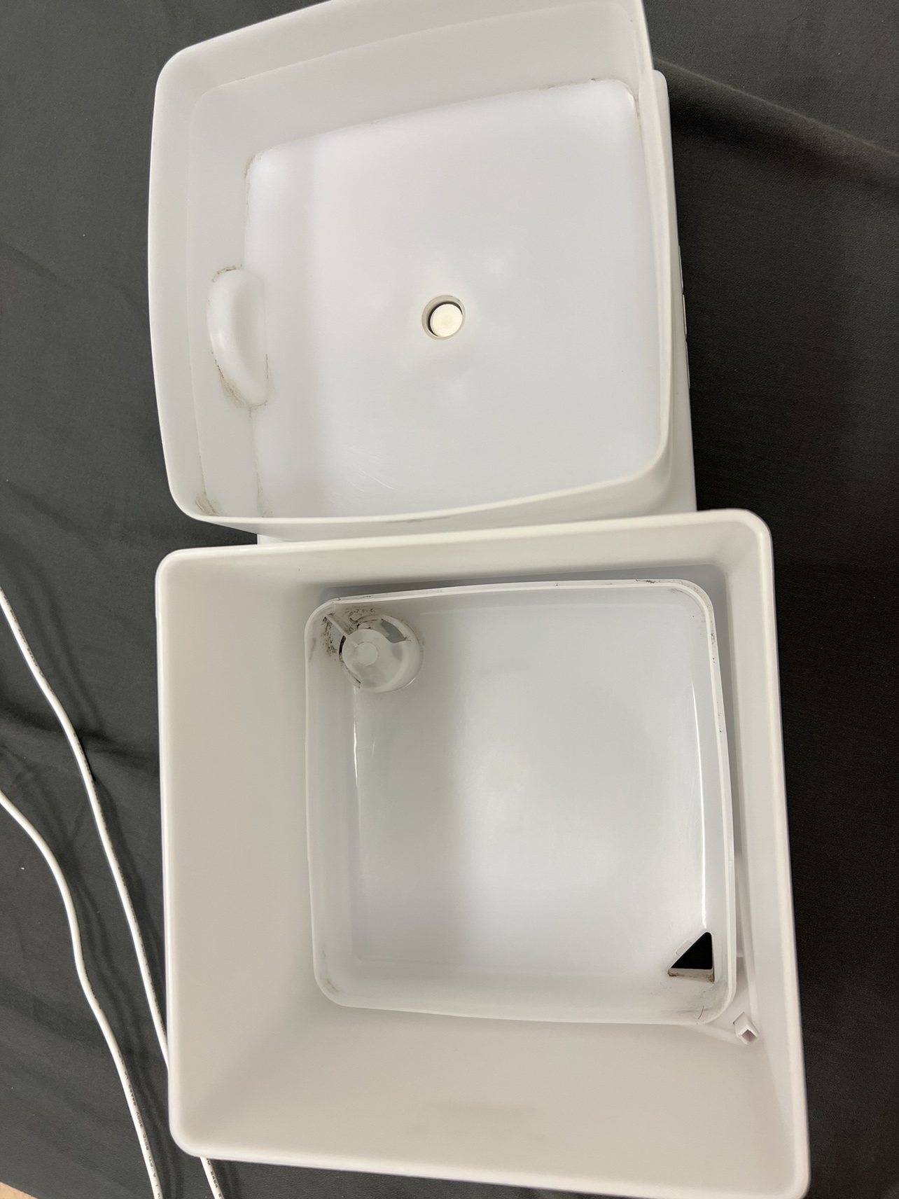 Essential oil diffuser - free essential oil - photo 3