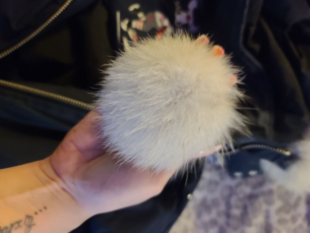 MOOSE KNUCKLE BOMBER JACKET image indicator(6)