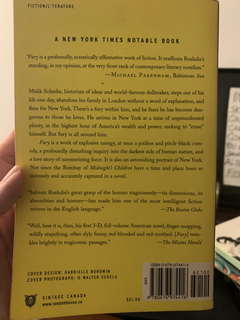 Salman Rushdie “Fury” paperback image indicator(2)