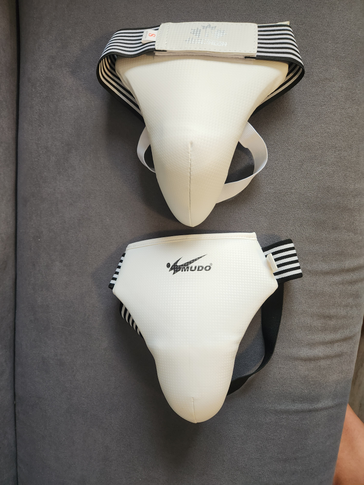 Taekwondo protectors