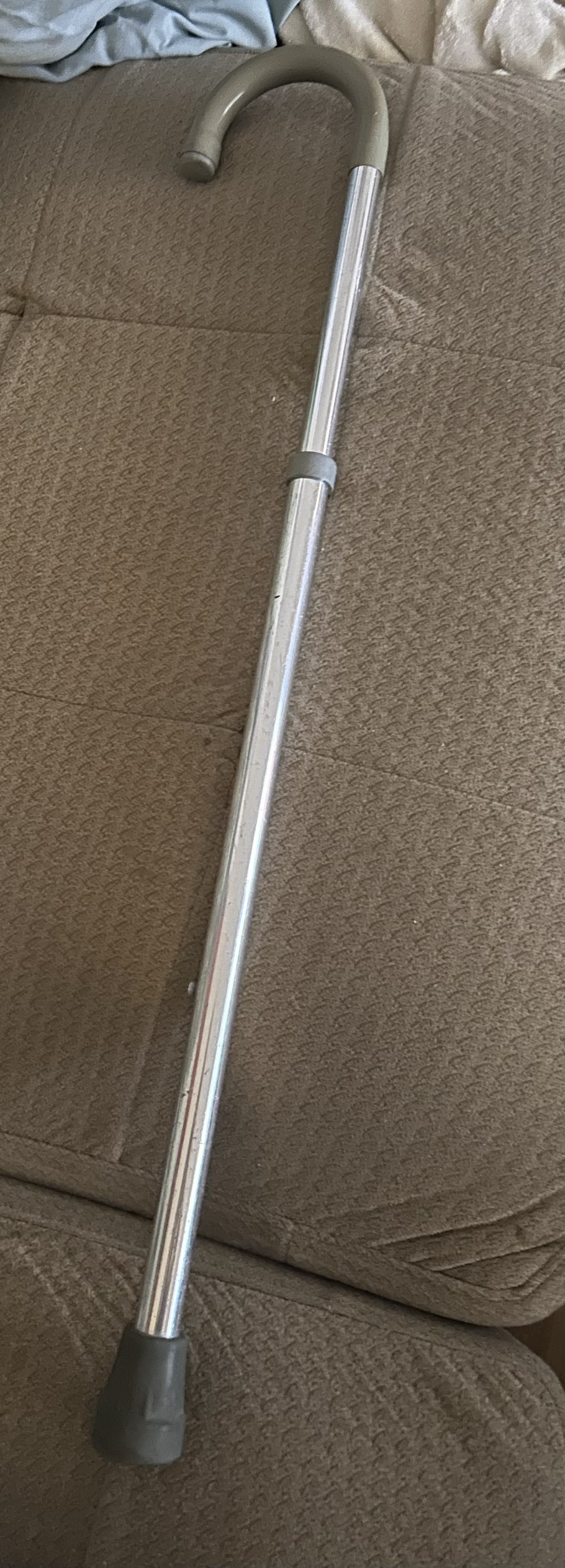 Cane