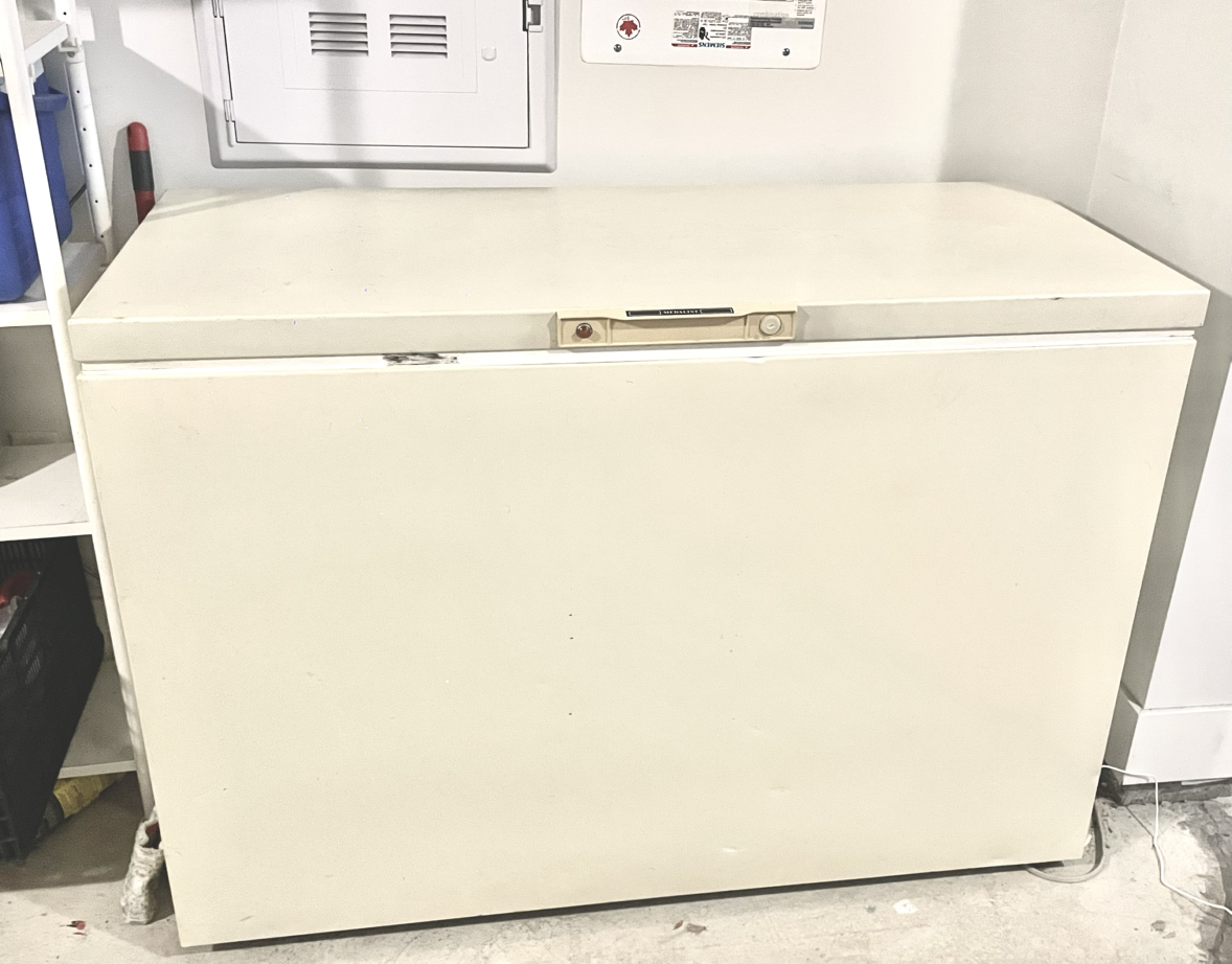 Large Chest/Deep Freezer
