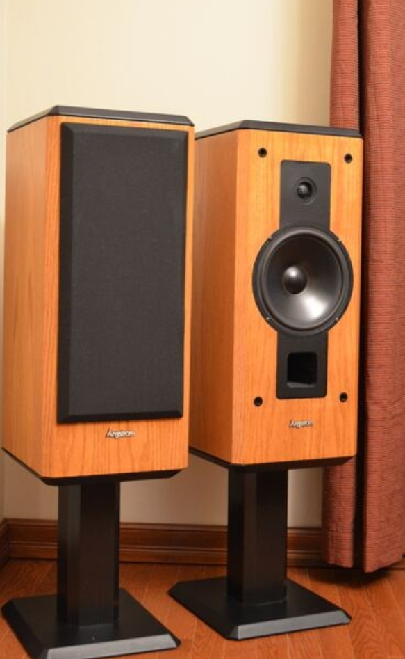 Vintage ANGSTROM Reference speakers thumbnail