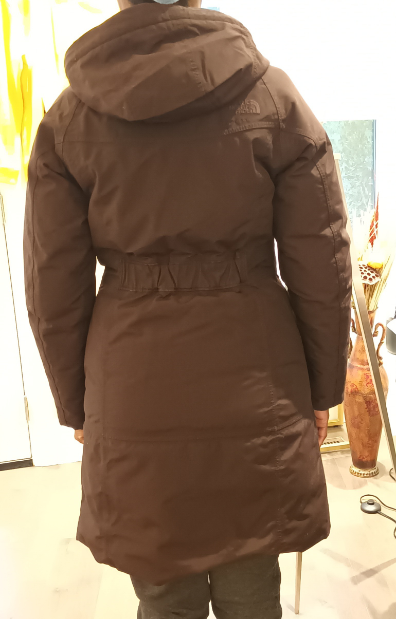 Winter Jacket (The North Face) image indicator(6)