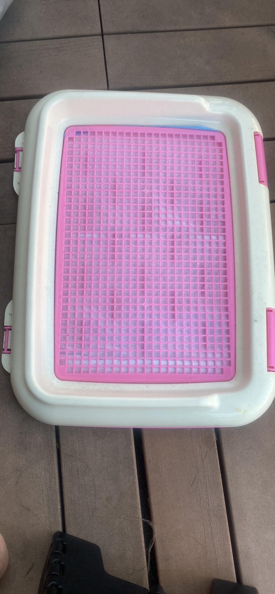 Pet potty tray
