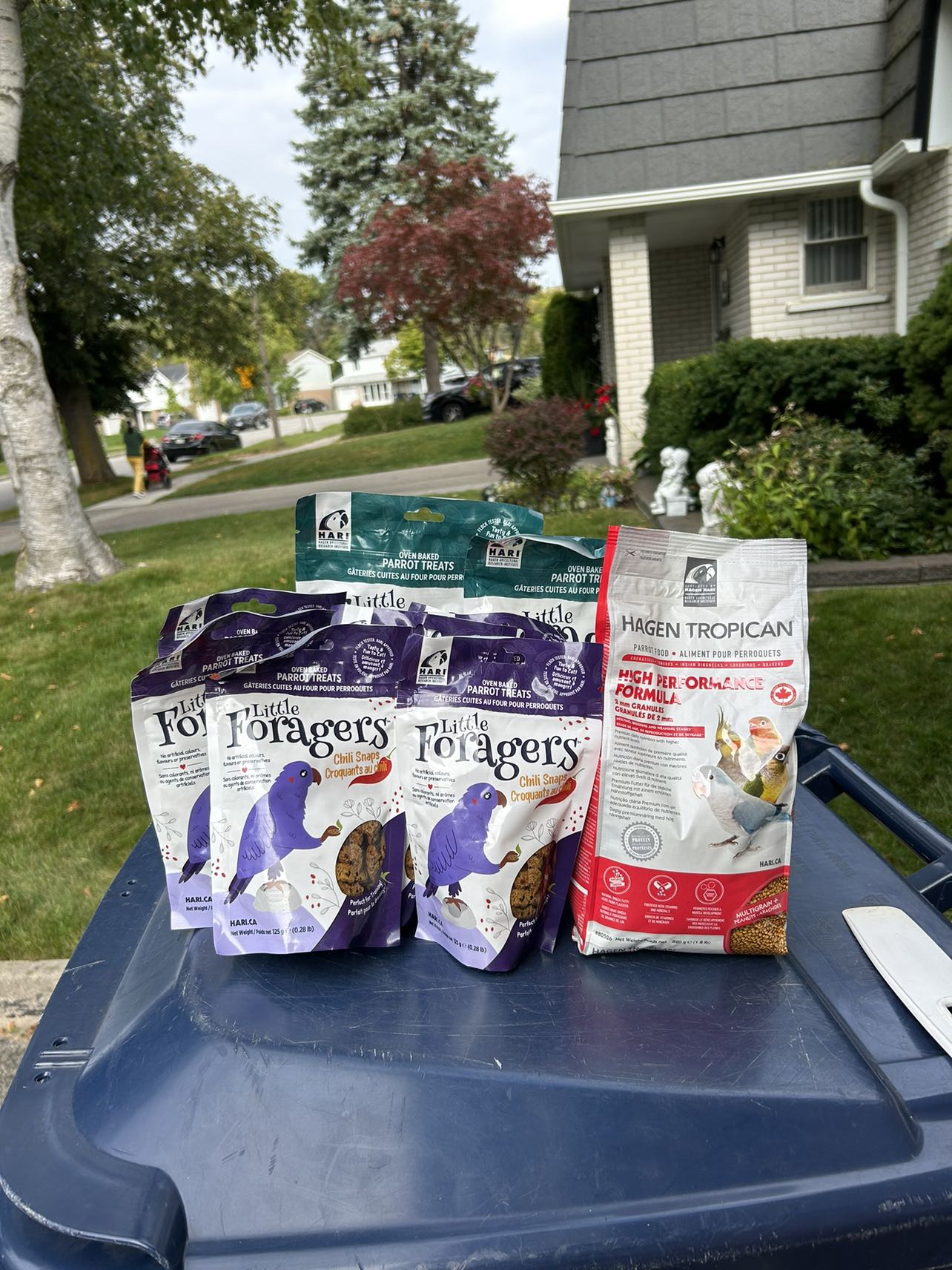 Parrots food. thumbnail