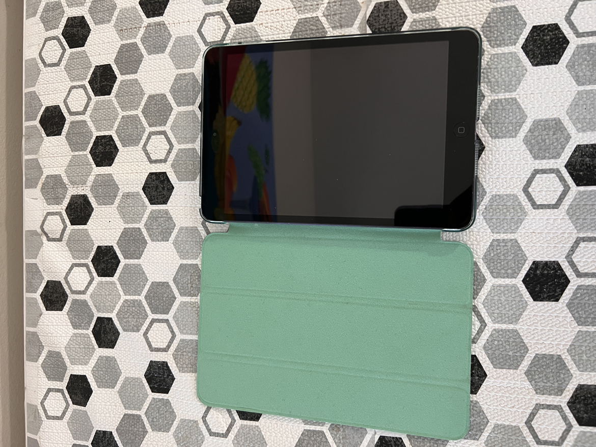 Ipad Mini 2
