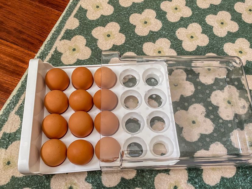 Egg tray - photo 2