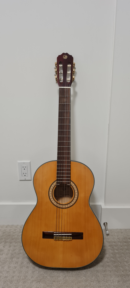 Guitar + Case