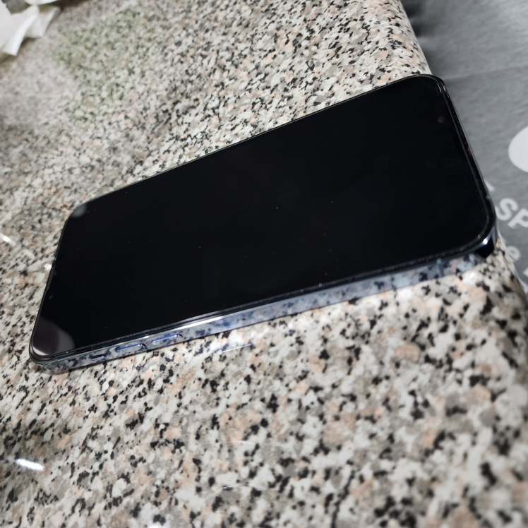 iPhone 13 Pro Max 256 GB - photo 2
