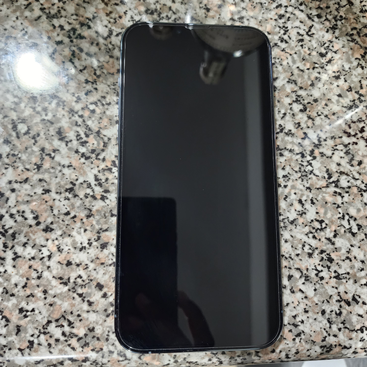 iPhone 13 Pro Max 256 GB - photo 3