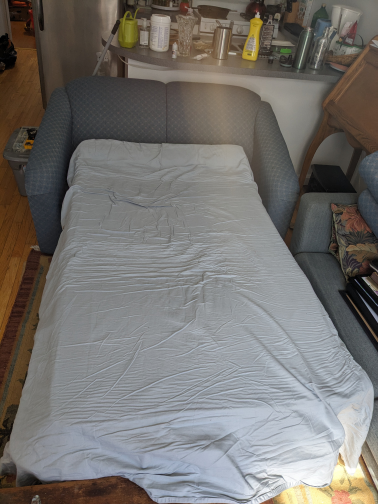 Pull out sleeper couch