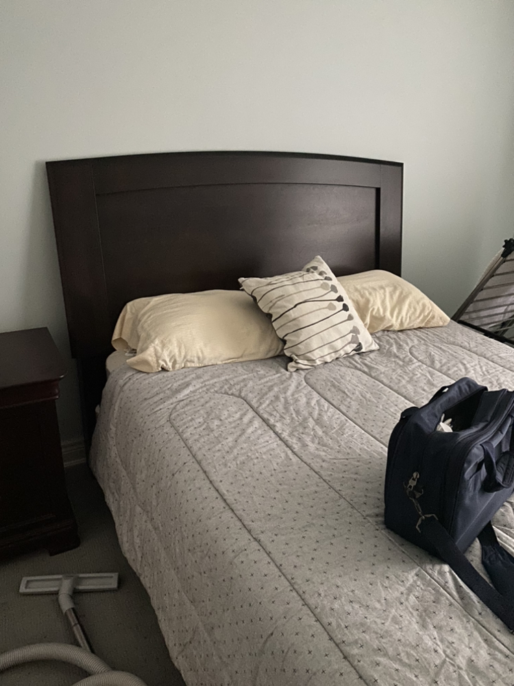 Queen bed set. See description.