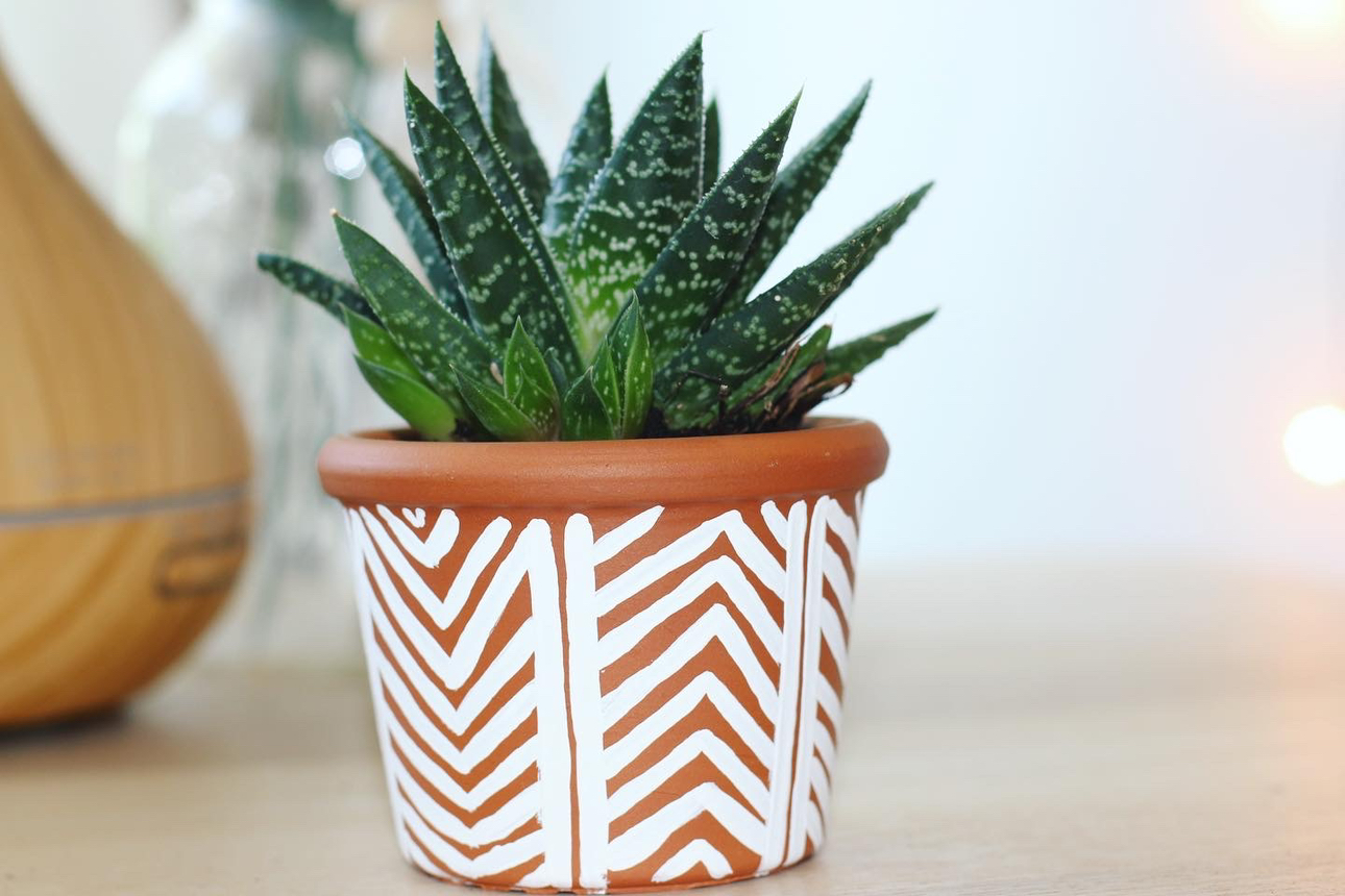 Assorted Hand-Painted Boho Planters