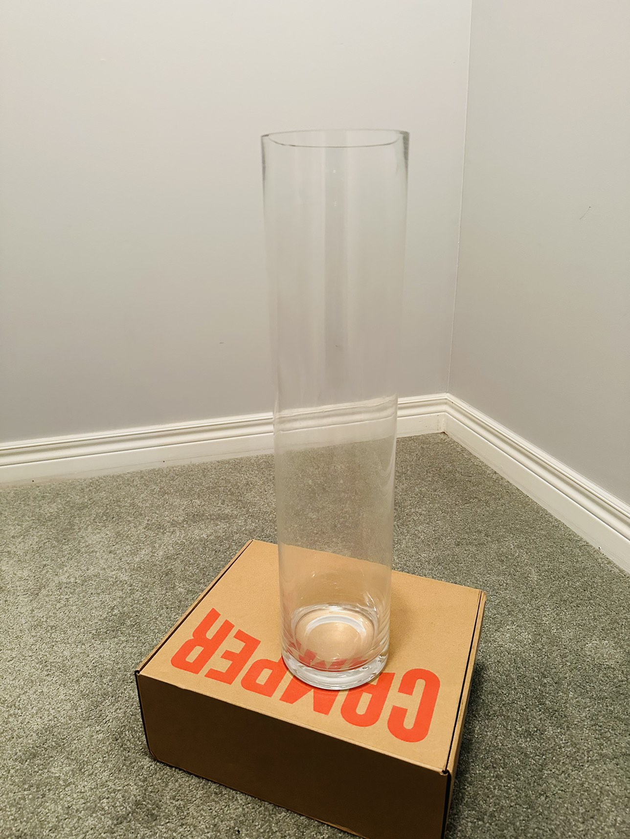 Tall Glass Vessel for Plants/Decor