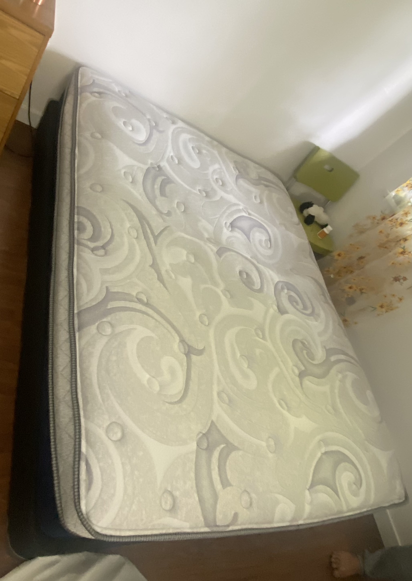 Queen Mattress and Spring Box - photo 2