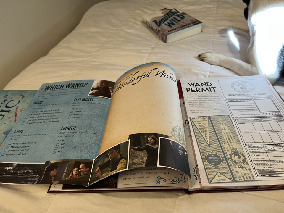 2 illustrated Harry Potter books image indicator(4)