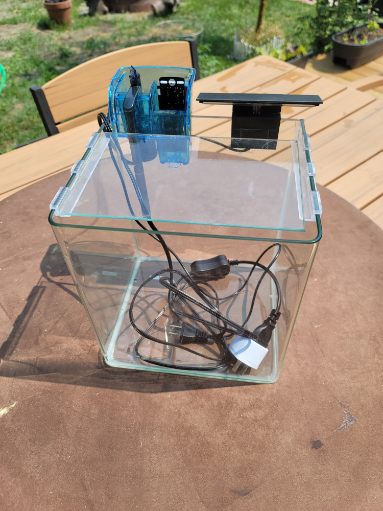 Small fish tank