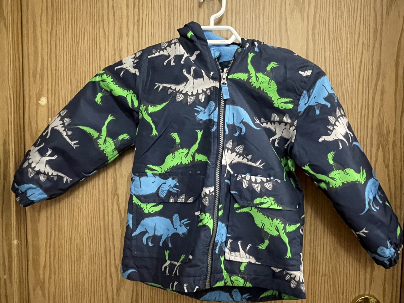 Dino Print Rain Jacket thumbnail