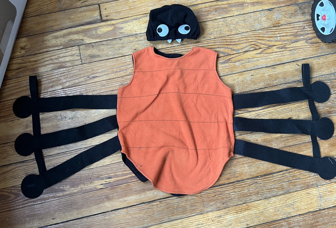 Pottery barn spider costume