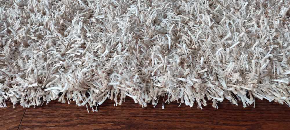 shag carpet - photo 3