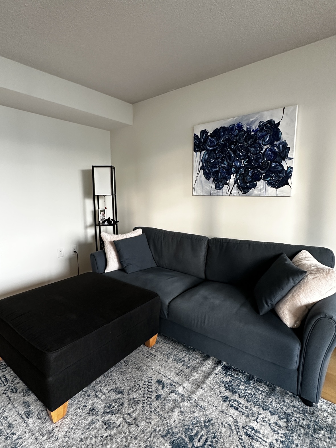 Couch and Ottoman - photo 4