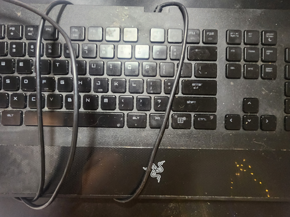 Deathstalker razor gaming keyboard #freecycle thumbnail