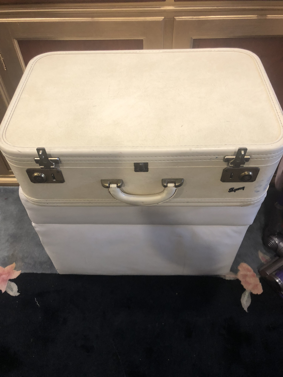 Vintage Authentic Skyway Suitcase