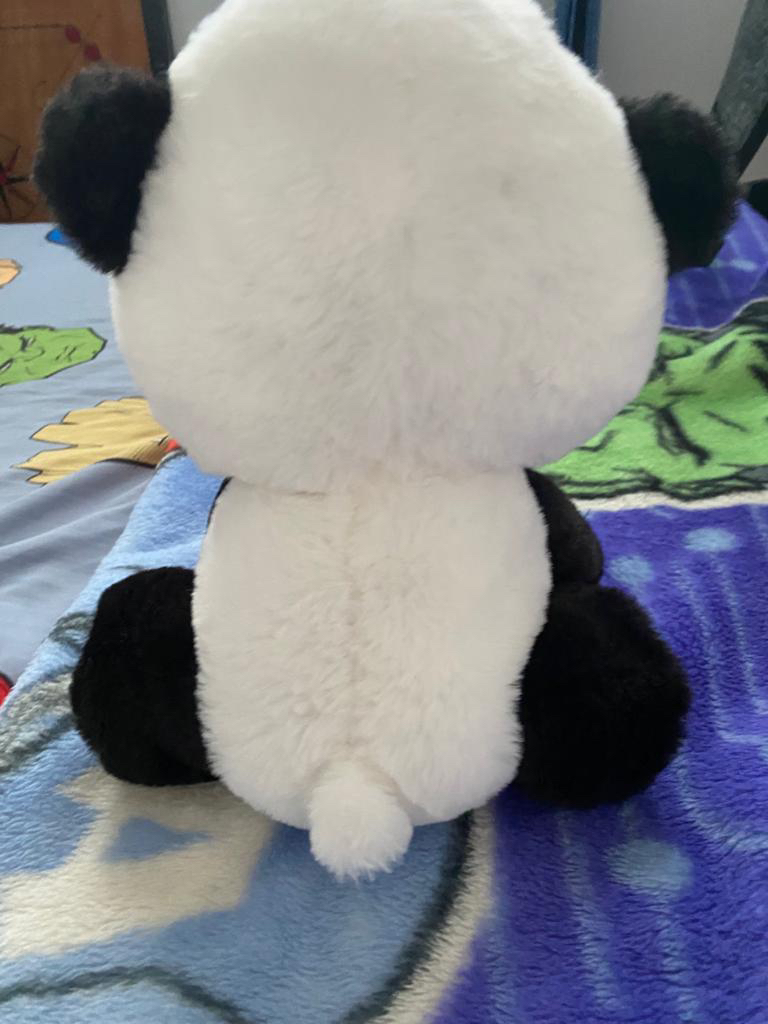 Panda 🐼 bear ❄️ - photo 2