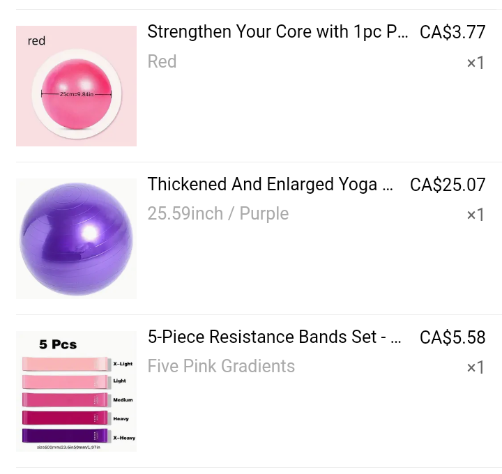 exercise balls & bands