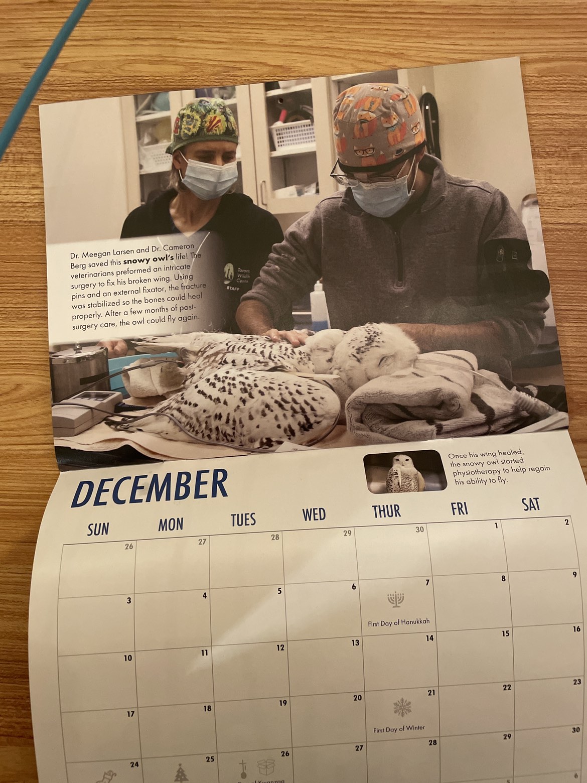FREE TWC Calendar! image indicator(5)