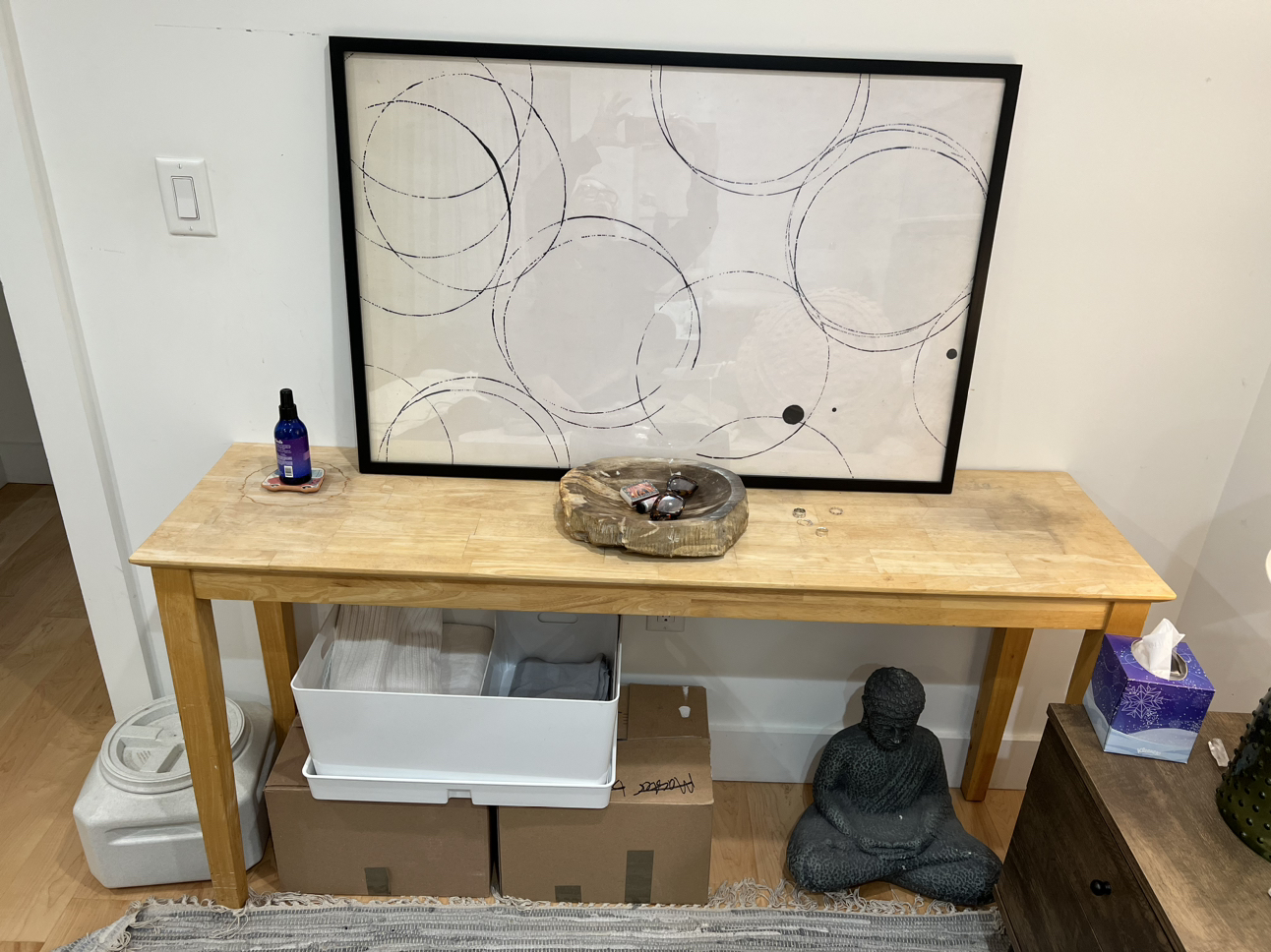 Circles artwork framed.