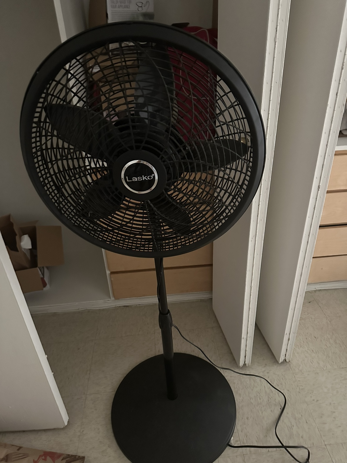 Fan