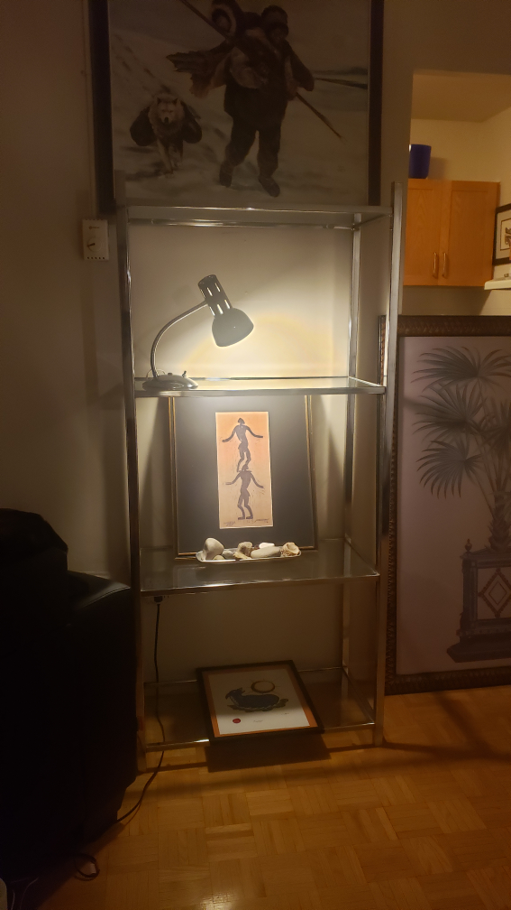 retro shelving chrome unit