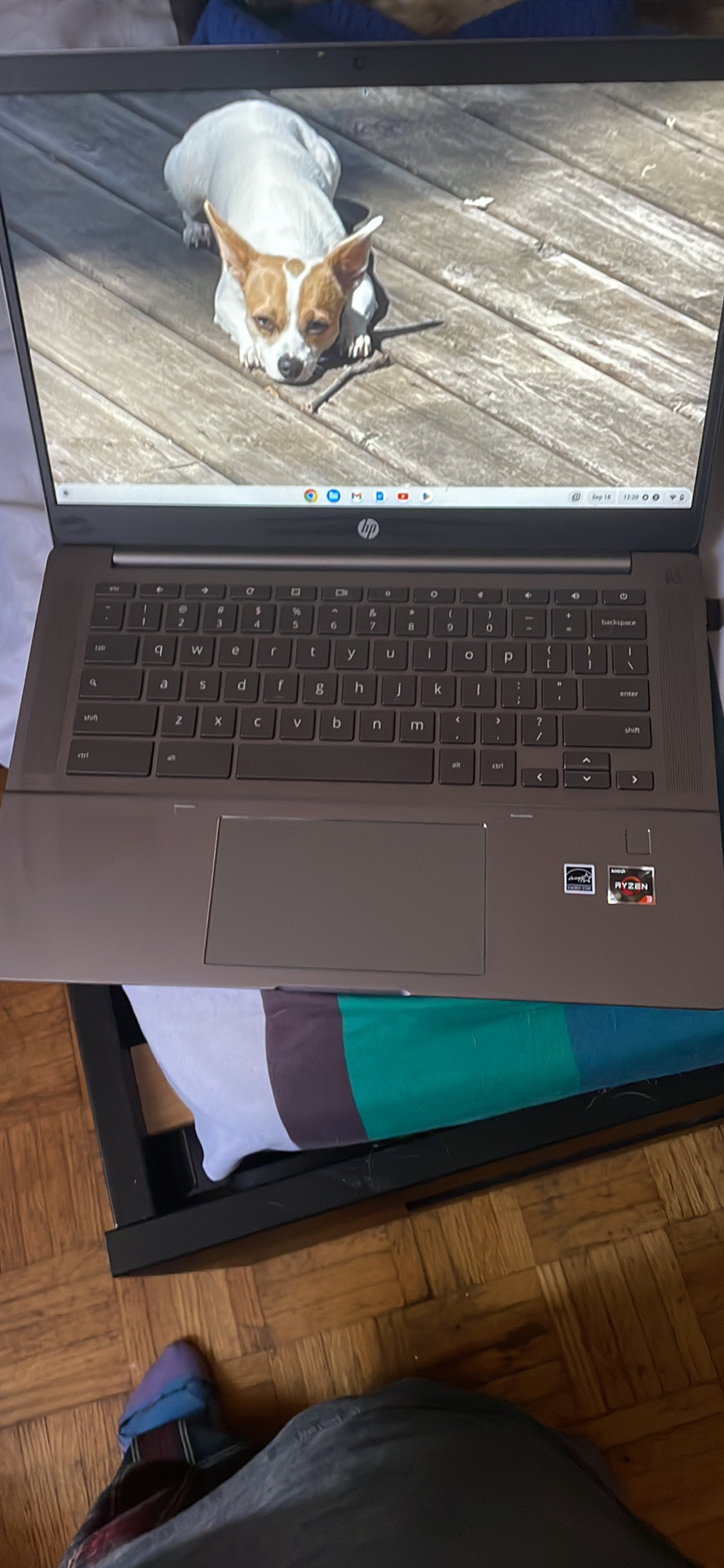Chrome book