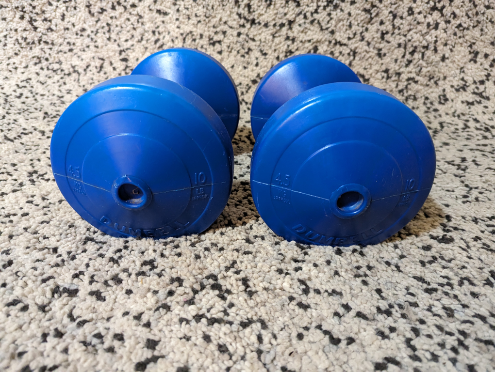 10lb dumbbells