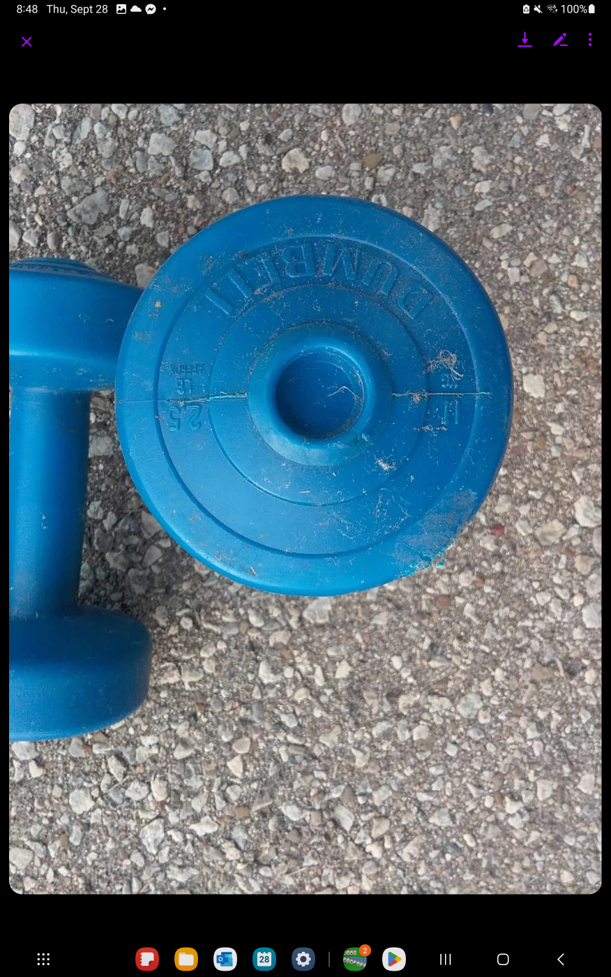 2.5 and 5 pound dumbbells - photo 2